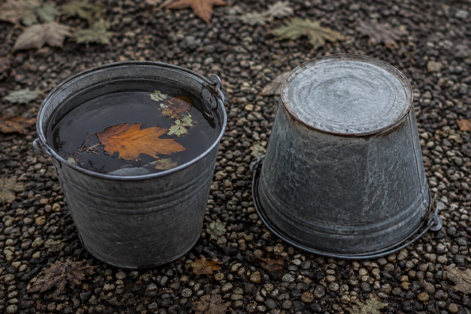 Two buckets: one holding dark rainwater, one overturned dry on gravel