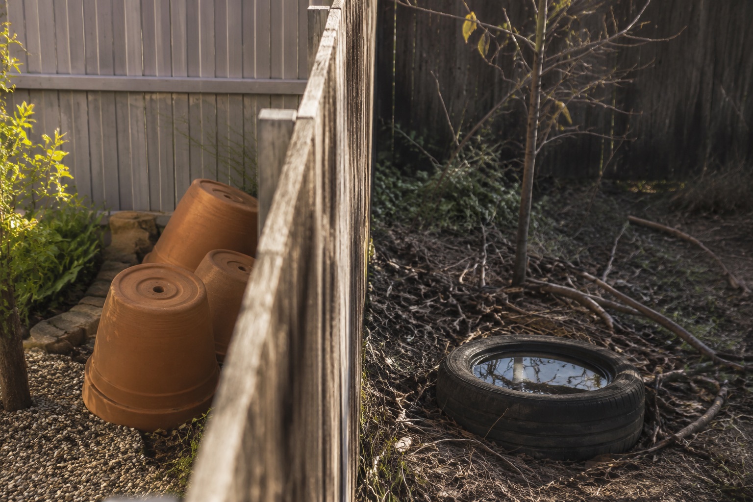 Fence line: own side tidy with overturned pots, neighbor side with a water-holding tire